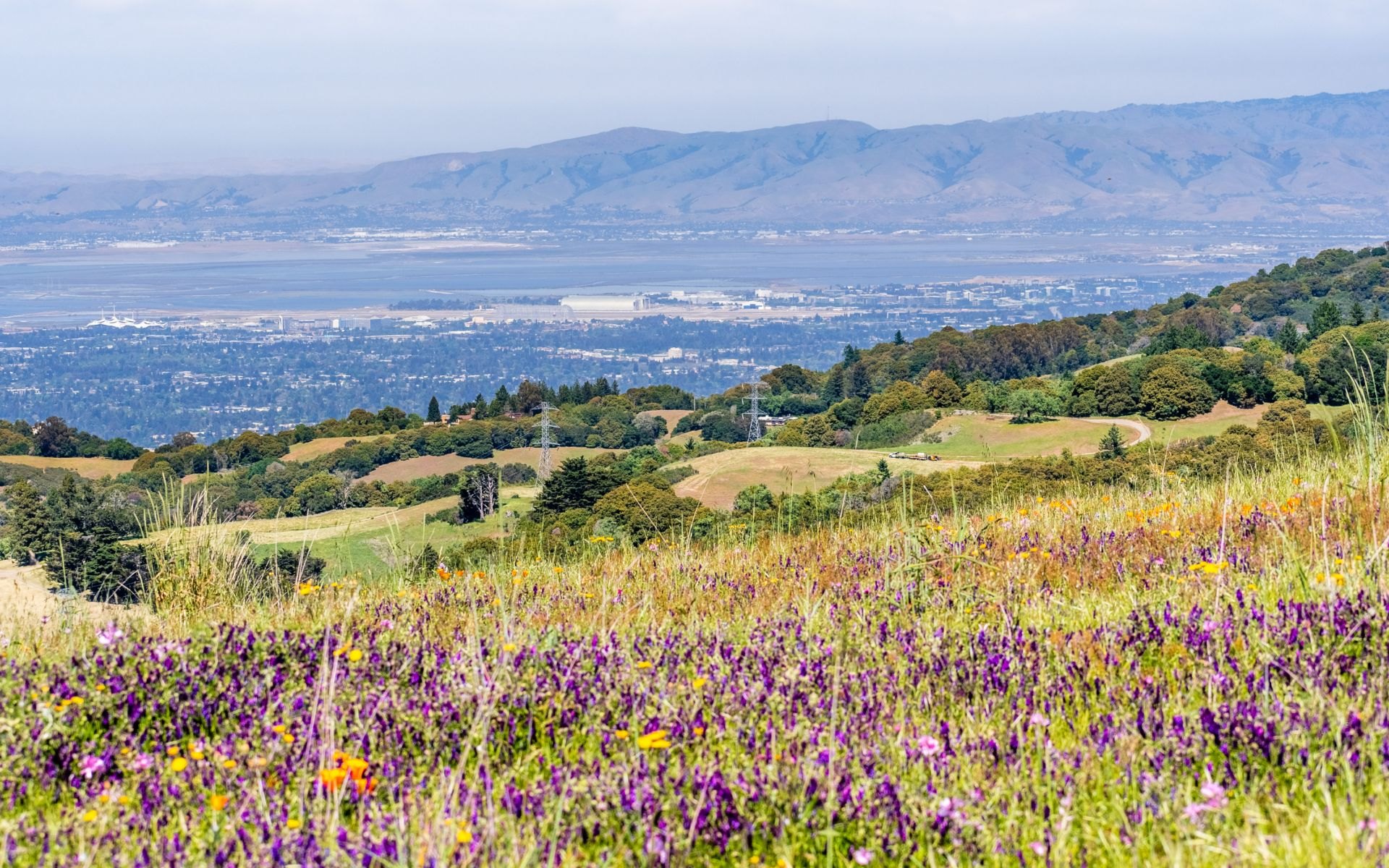 Milpitas